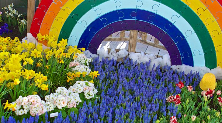 IMAGE: A rainbow and flowers at the Rawlings Conservatory