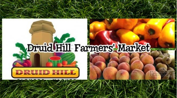 Druid Hill Farmers Market Logo